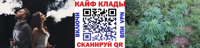 Наркошоп купить АМФ  Кокаин  БУТИРАТ  Лсд 25  Бошки Шишки  СОЛЬ  Гашиш  МЕФ  Дмитровск