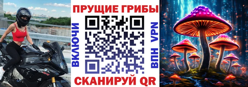 Купить где  Дмитровск  Галлюциногенные грибы Magic Shrooms 
